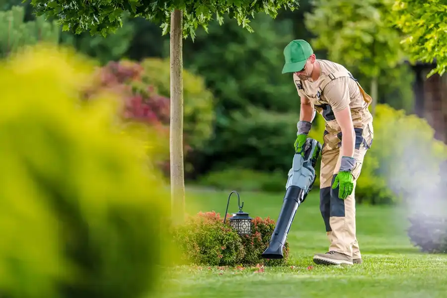 How To Clean A Backyard Hillsboro, OR