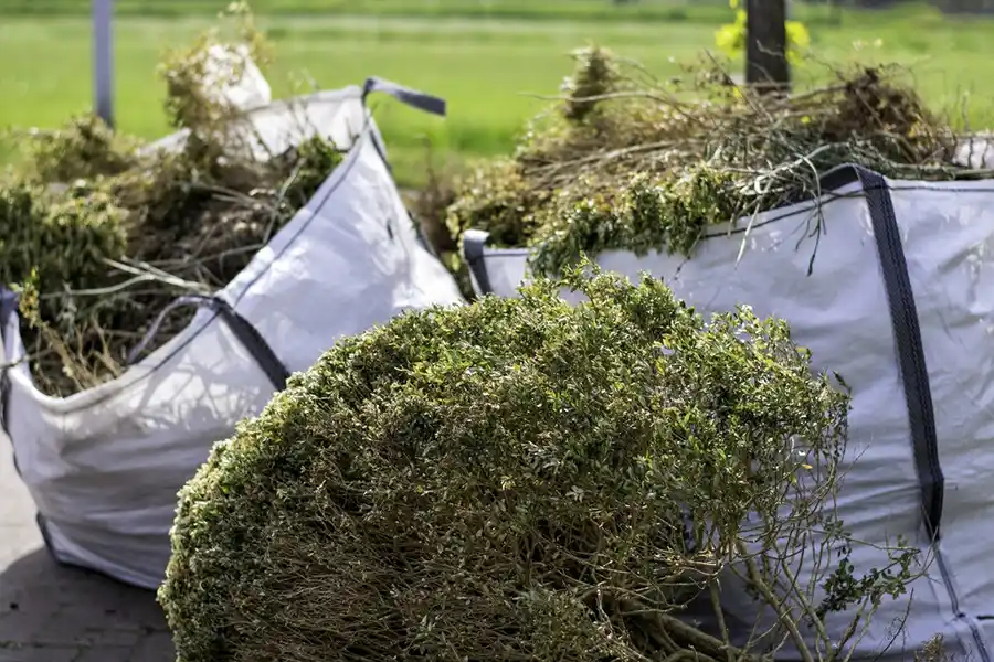 How to clear a yard full of weeds in Hillsboro, OR