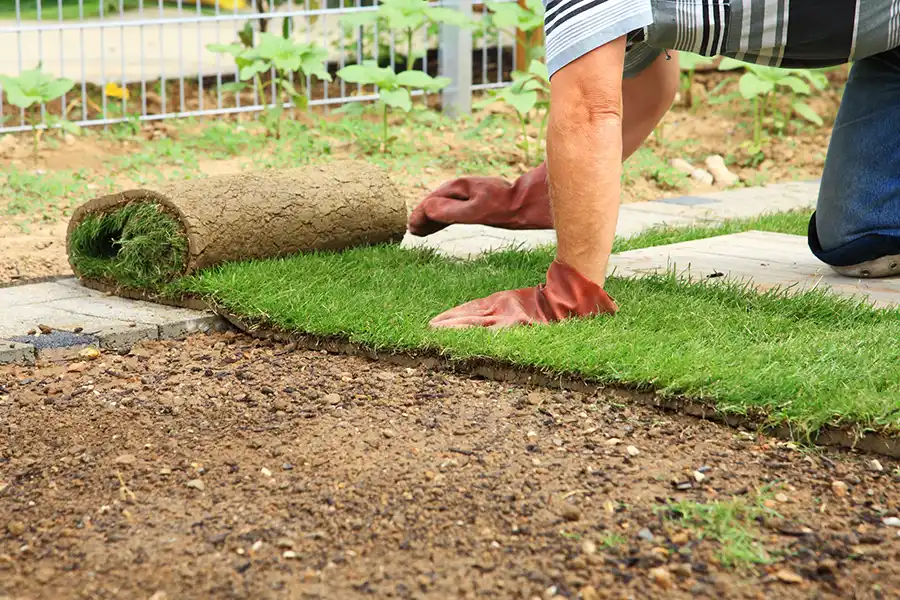 How to lay sod over existing lawn in Hillsboro, OR