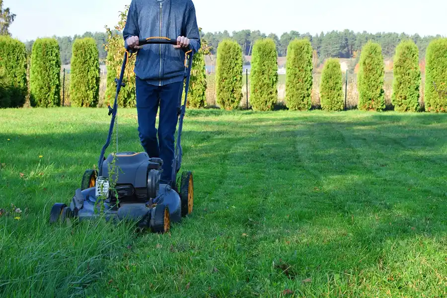 Efficient Lawn Mowing in Hillsboro, OR