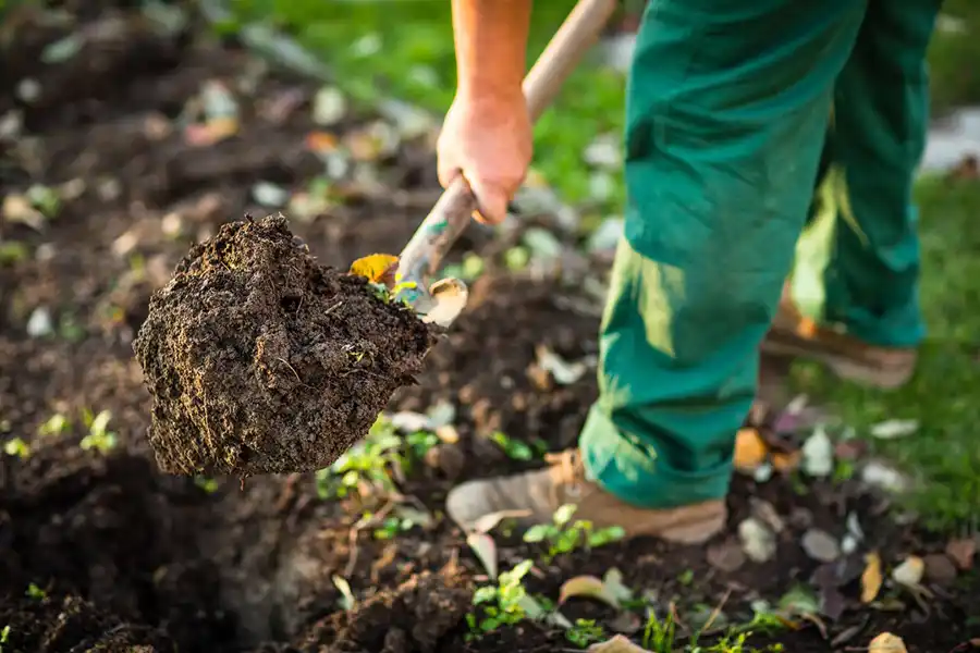 Reliable Mulching in Hillsboro, OR