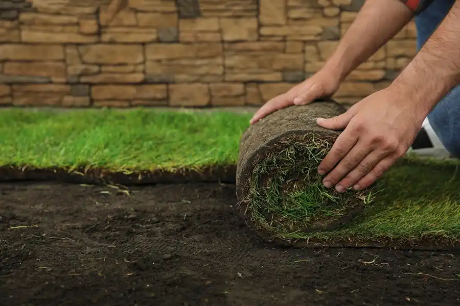 Reliable Sod Installation in Hillsboro, OR