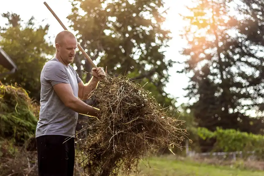 Efficient Yard cleanup in Hillsboro, OR